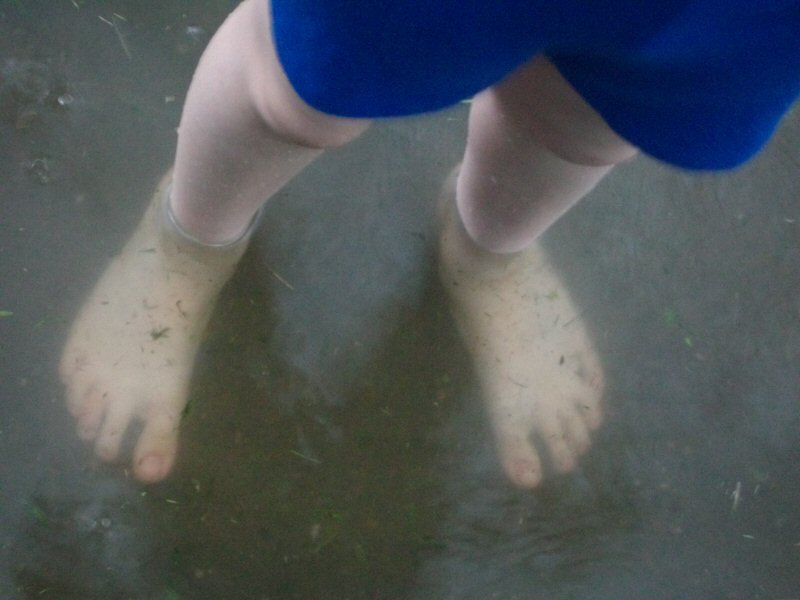 flooded10